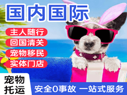 昌北空运公司国际宠物托运 【国